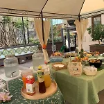 Alcentro Hotel 3*